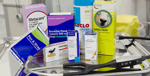 Different Pet Health Care Products - A2Z Pets Info