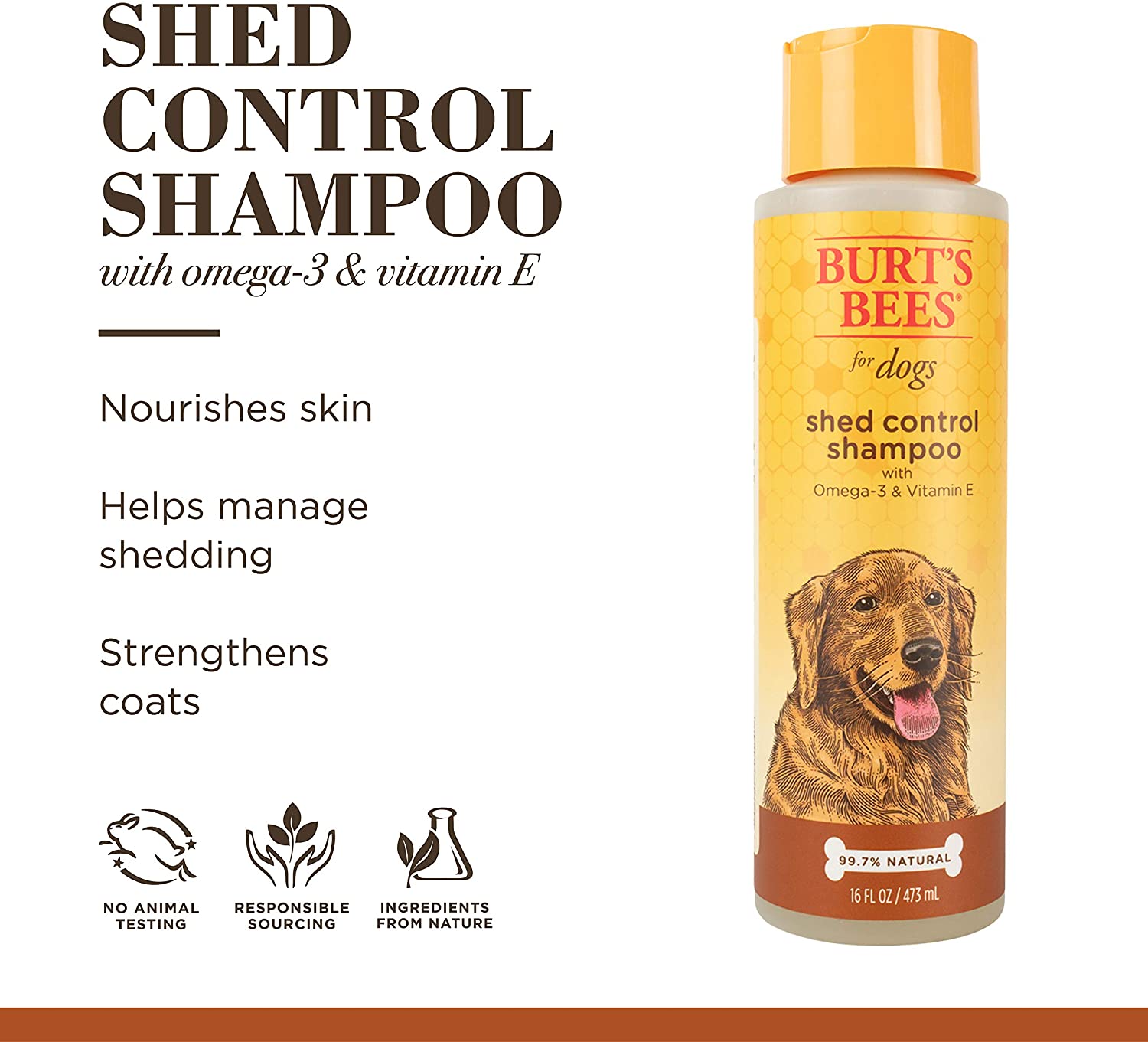 Best DeShedding Shampoos for Dogs That Help Reduce Hair fall A2Z