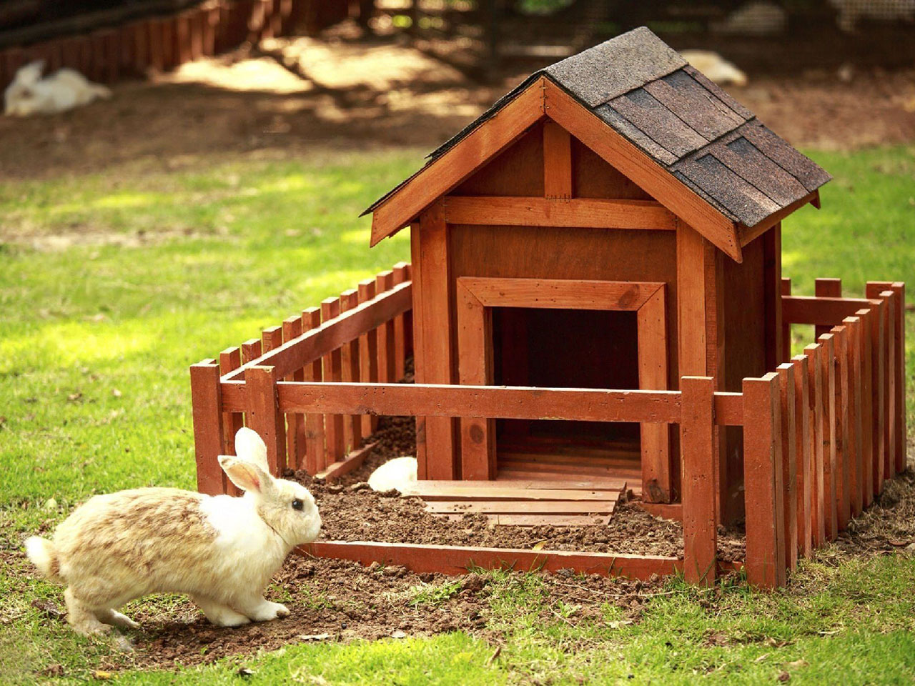 Top Rated Outdoor Rabbit Hutch A2Z Pets Info